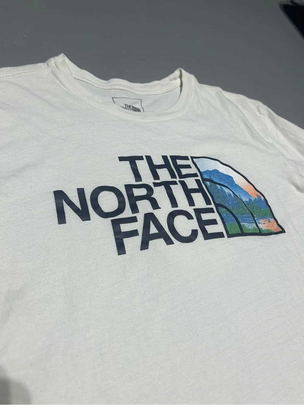 The North Face Soft Premium Short Sleeve Tee Shirt (Men’s Large)